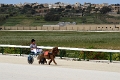 2015_Race 1 - 03